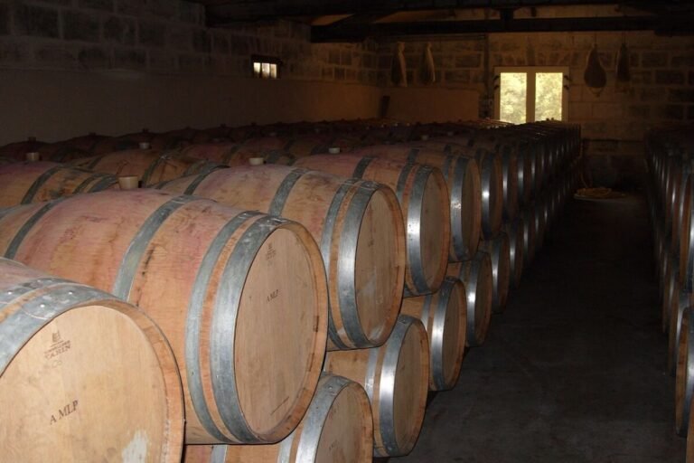 Adega ou Geladeira para Vinhos? Entenda a Diferença