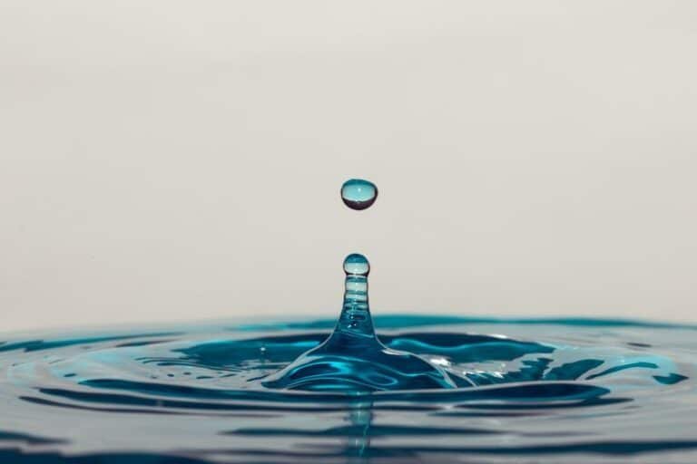 Guia Completo: Como Consertar Waterpik